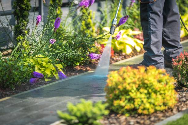 Best Parking Lot Cleaning in Algonquin, IL