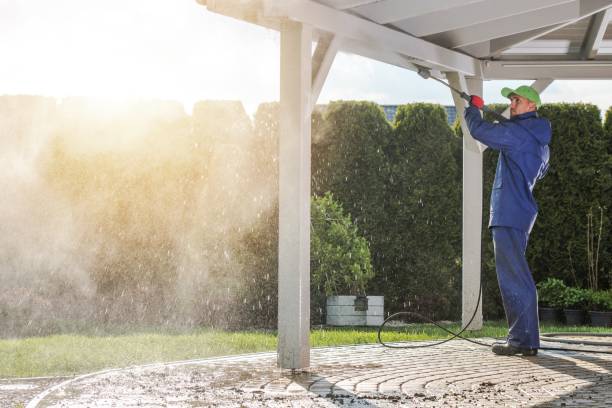 Best Residential Pressure Washing in Algonquin, IL