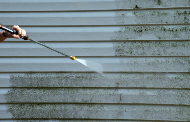 Best Driveway Cleaning and Restoration in Algonquin, IL